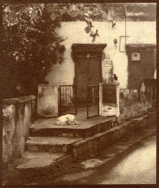 Vivek Muthuramalingam, albumen silver print, Kanike Studio
